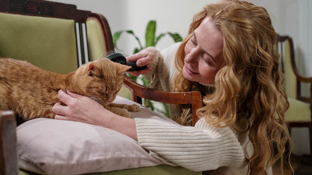 Smiling woman brushing a relaxed ginger cat on an armchair indoors, creating a cozy scene.